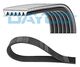 COURROIE CRANTEE DAYCO 6PK2240